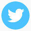 twitter logo icon