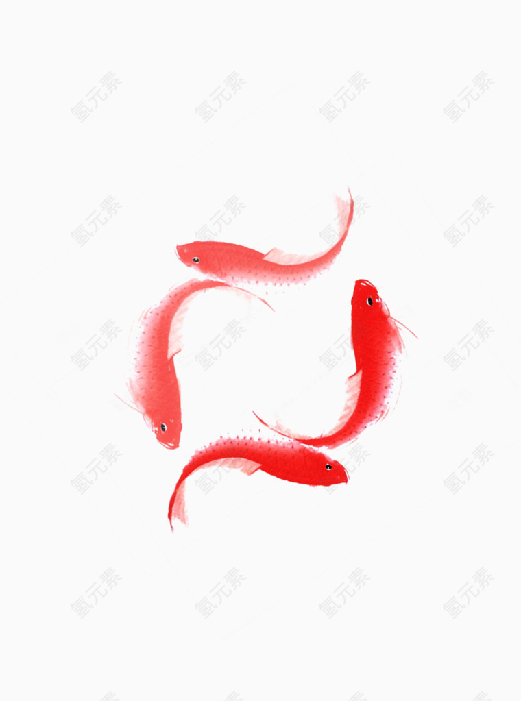 红色鲤鱼图片素材