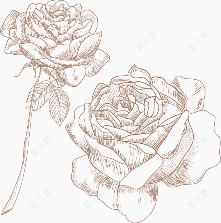 玫瑰花铅笔简易画装饰元素
