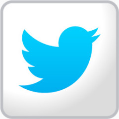 推特White-social-media-icons