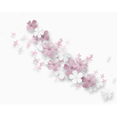 粉白花朵