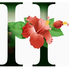 鲜花花纹字母H