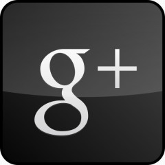 自定义光泽黑色的Google-plus-icons