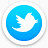 推特circle-social-media-icons