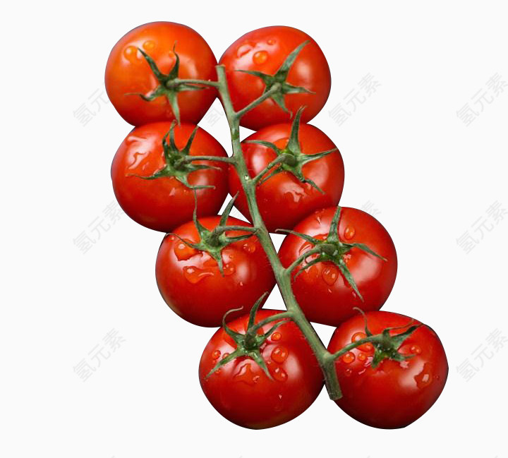 西红柿png图片素材