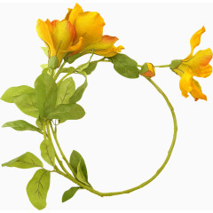 黄色花朵花环
