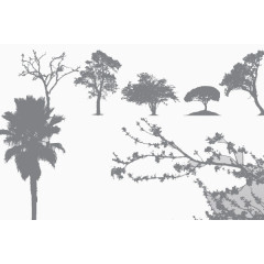 一组灰色树木图片