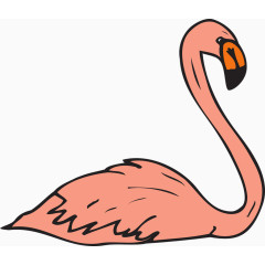 粉色的火烈鸟