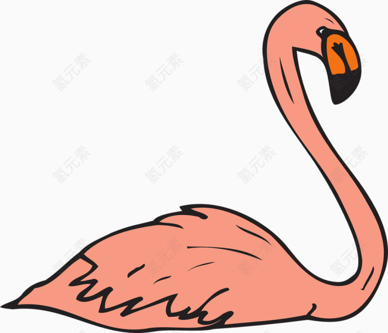 粉色的火烈鸟