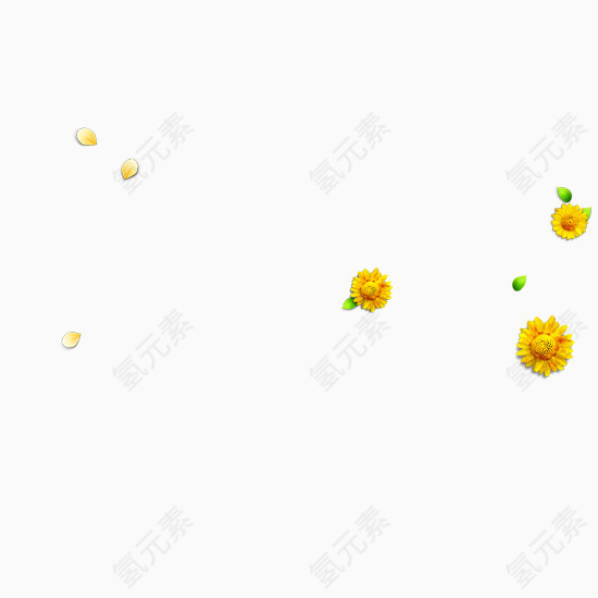 黄色花朵漂浮