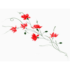 手绘红色花卉