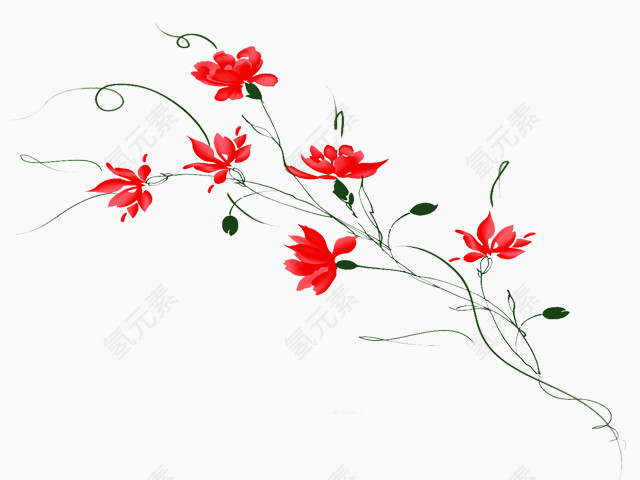 手绘红色花卉