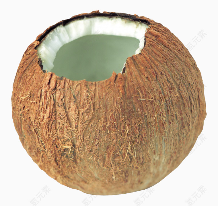 一个大椰子