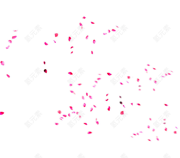 粉色玫瑰花花瓣高清png素材