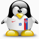 美国企鹅动物2006世界杯的晚礼服