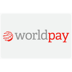 业务购买卡现金结帐信用捐赠金融金融支付付款WorldPay付款方式