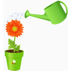 绿色浇花水壶与花朵