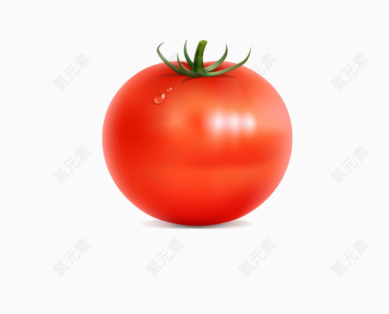 矢量单个西红柿