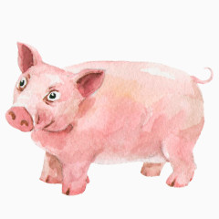 彩绘小猪