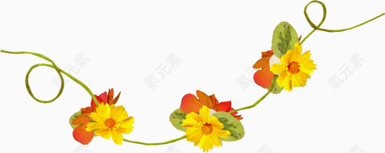花卉图片素材花卉背景素材