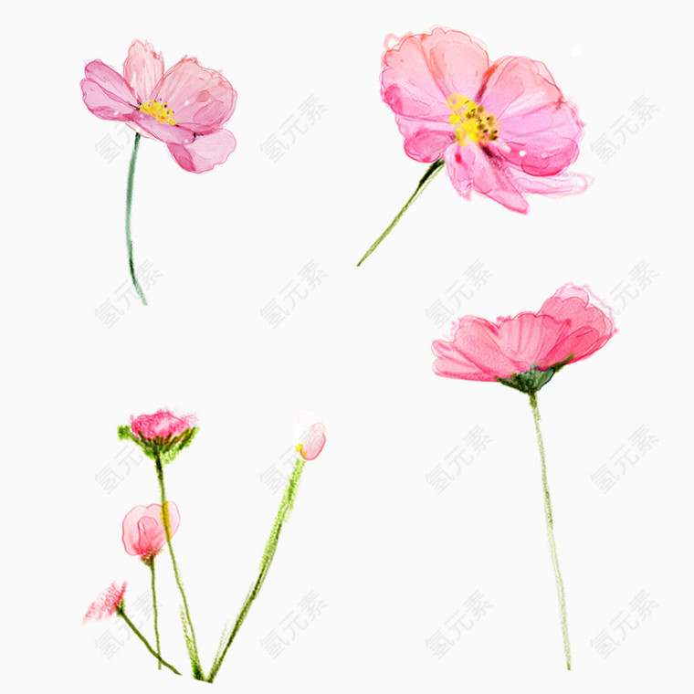 卡通手绘粉色花朵插画合集