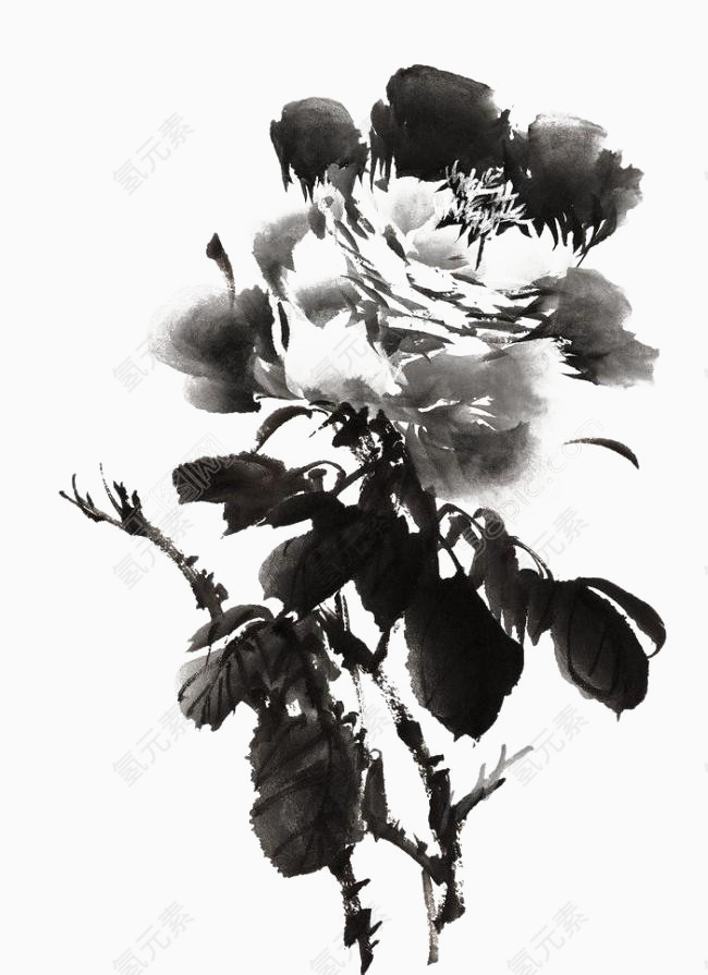 黑色水墨画牡丹花