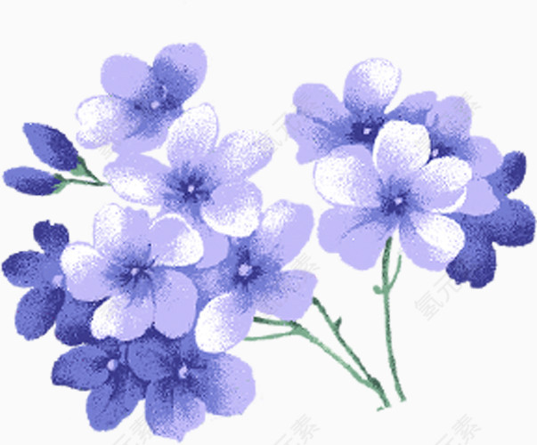 清新蓝色手绘花朵植物装饰