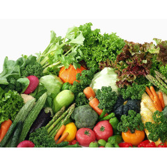 蔬菜素材蔬菜素描 