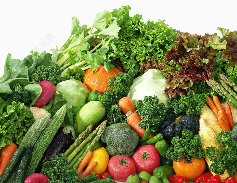 蔬菜素材蔬菜素描 