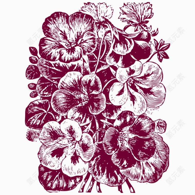 手绘素描线稿花卉