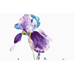 蓝紫色手绘水粉兰花免扣素材