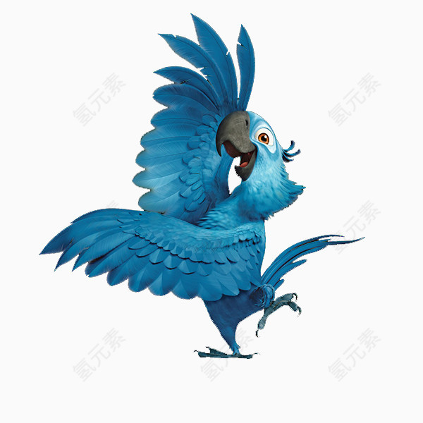 蓝色鹦鹉鸟类手绘插画