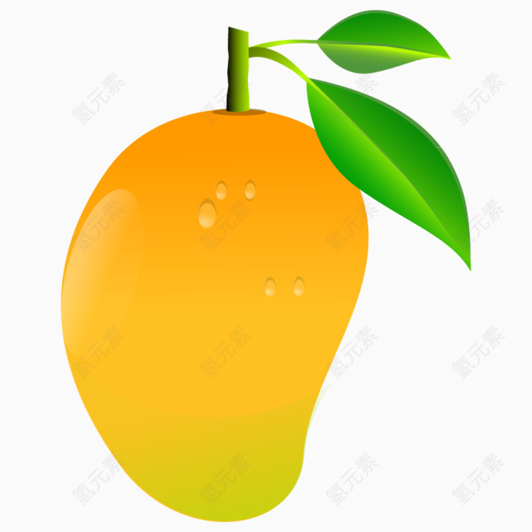 芒果