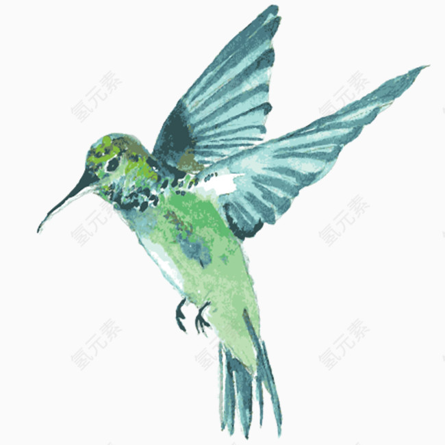 手绘水彩绿色蜂鸟