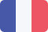 法国195平的标志PSD图标