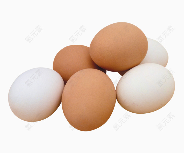 食物鸡蛋蛋白质
