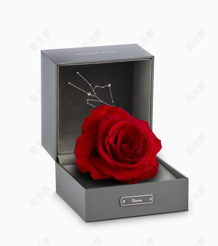 礼品盒玫瑰