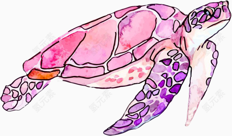 手绘粉色海龟png