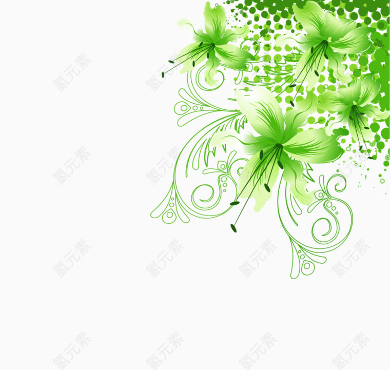 绿色花纹角花
