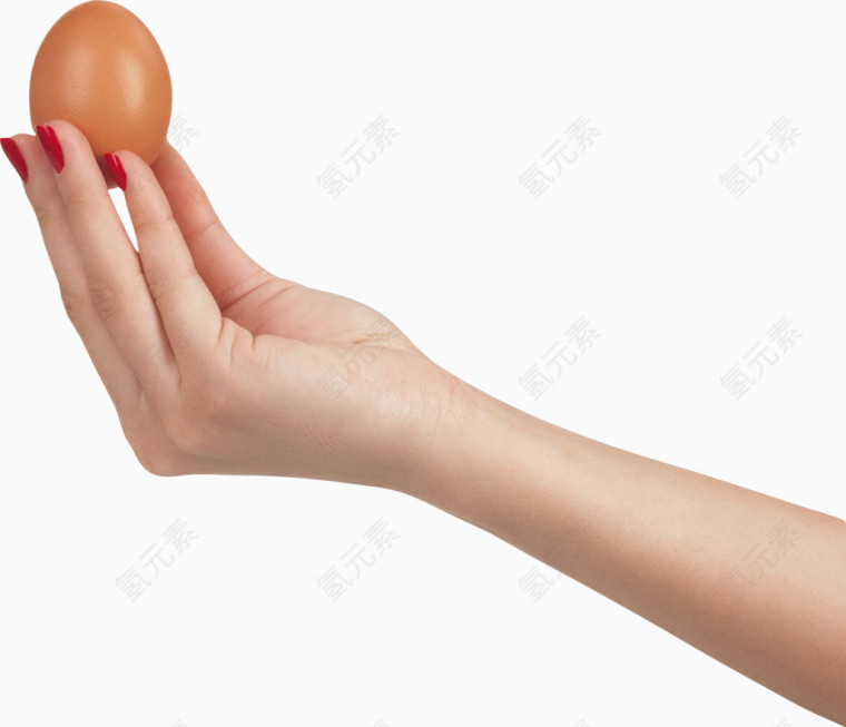 食物鸡蛋蛋白质手指