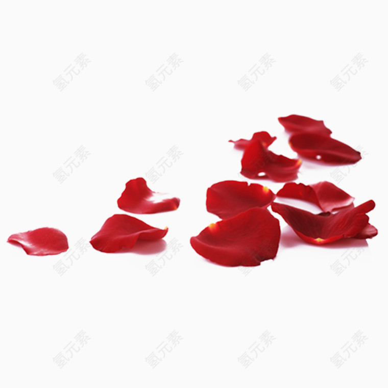 红色玫瑰花瓣装饰图案