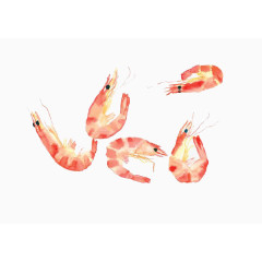 手绘红色虾