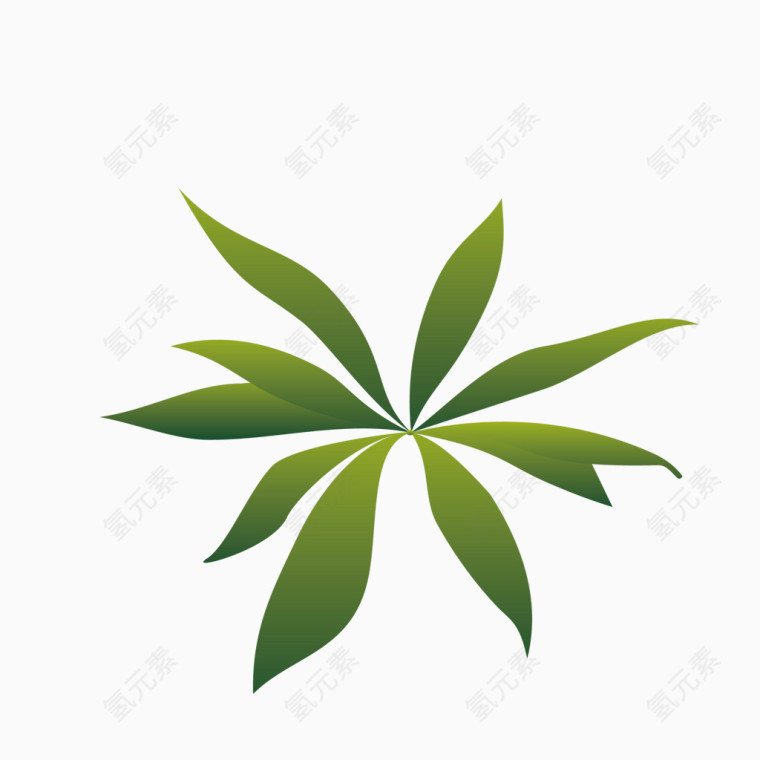 绿色植物树枝