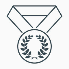 成就奖奖最好的月桂树奖章赢家搜索引擎优化和开发的细线图标