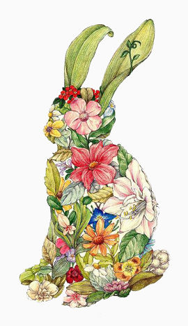 花朵和绿叶兔子