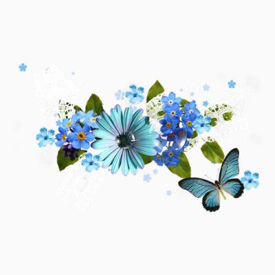 蝴蝶和蓝色的菊花下载