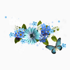 蝴蝶和蓝色的菊花
