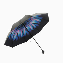 雨伞小黑伞