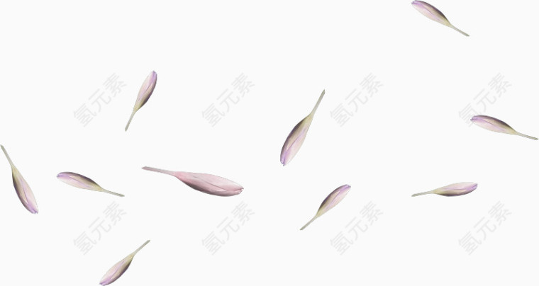 紫色花瓣装饰品
