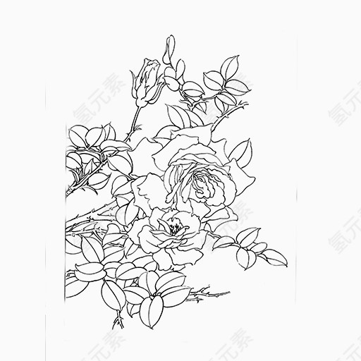 手绘黑色线条菊花图案